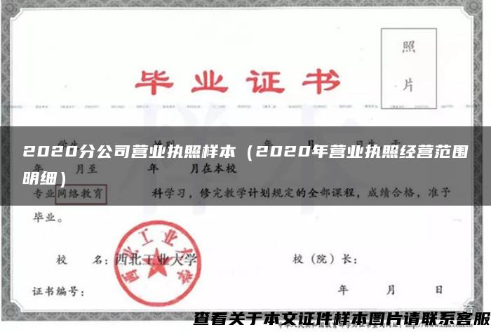 2020分公司营业执照样本（2020年营业执照经营范围明细）