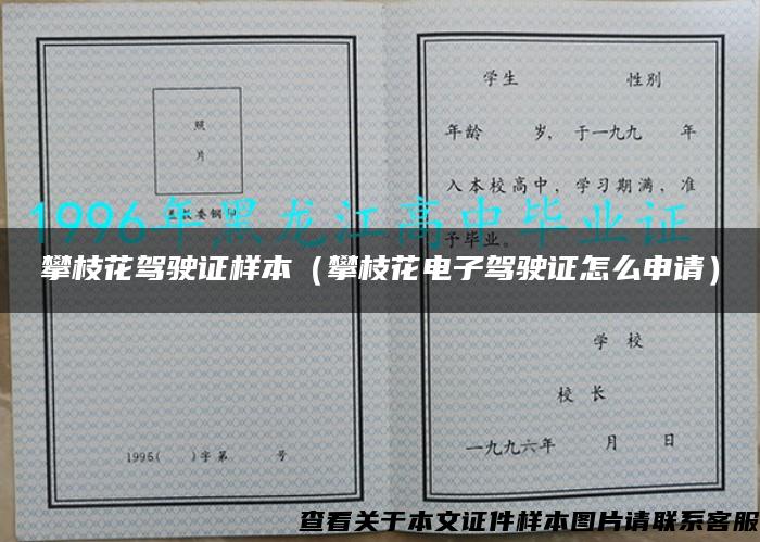 攀枝花驾驶证样本（攀枝花电子驾驶证怎么申请）