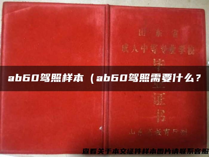 ab60驾照样本（ab60驾照需要什么？