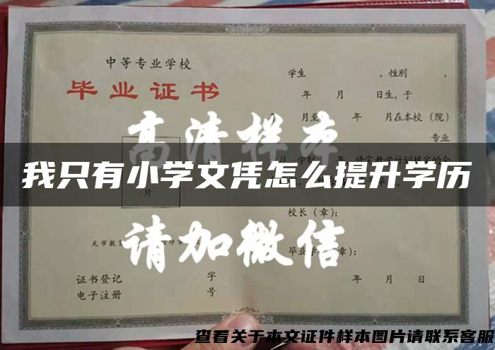 我只有小学文凭怎么提升学历