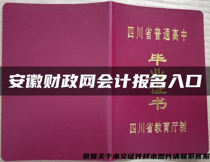 安徽财政网会计报名入口