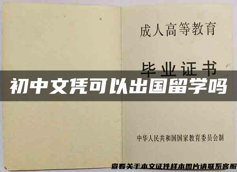 初中文凭可以出国留学吗