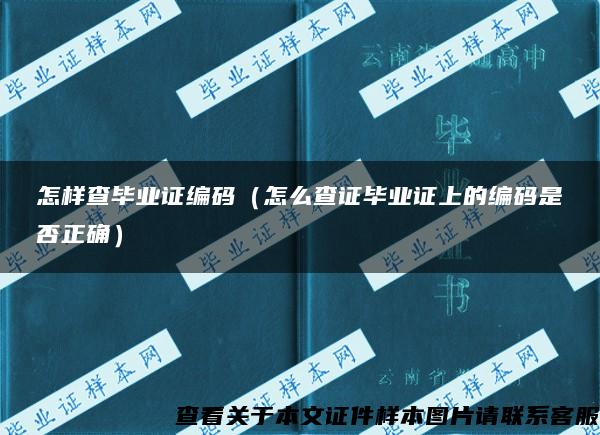 怎样查毕业证编码（怎么查证毕业证上的编码是否正确）