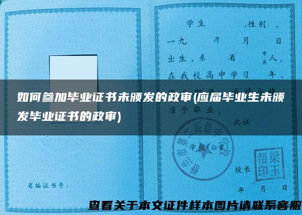 如何参加毕业证书未颁发的政审(应届毕业生未颁发毕业证书的政审)