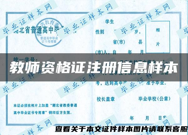 教师资格证注册信息样本