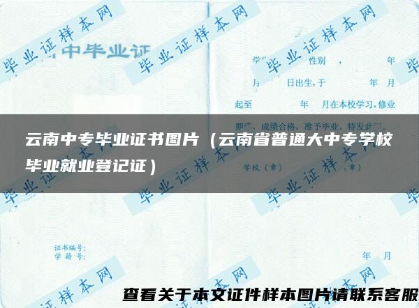 云南中专毕业证书图片（云南省普通大中专学校毕业就业登记证）