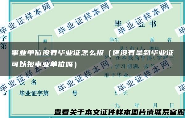 事业单位没有毕业证怎么报（还没有拿到毕业证可以报事业单位吗）