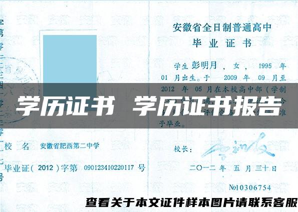 学历证书 学历证书报告