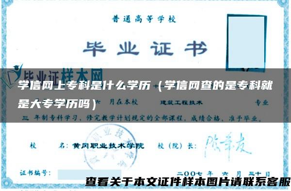 学信网上专科是什么学历（学信网查的是专科就是大专学历吗）