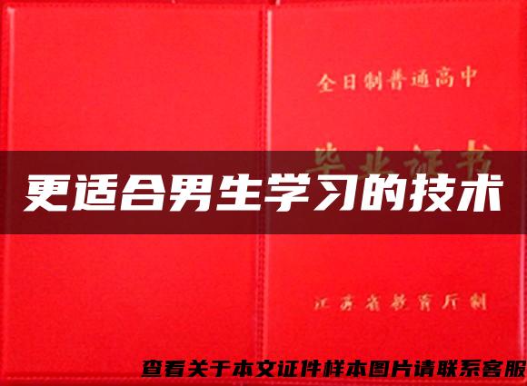 更适合男生学习的技术