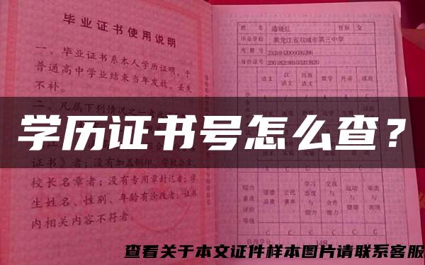 学历证书号怎么查？