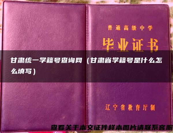 甘肃统一学籍号查询网（甘肃省学籍号是什么怎么填写）