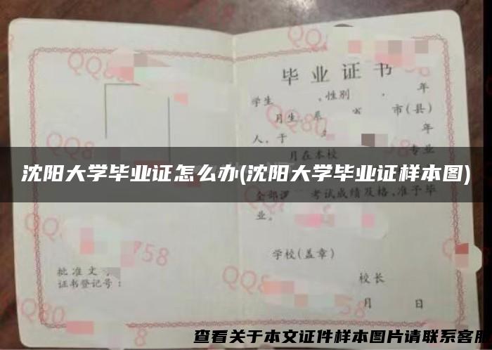 沈阳大学毕业证怎么办(沈阳大学毕业证样本图)