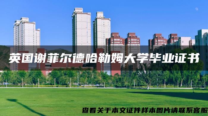 英国谢菲尔德哈勒姆大学毕业证书