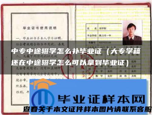 中专中途辍学怎么补毕业证（大专学籍还在中途辍学怎么可以拿到毕业证）