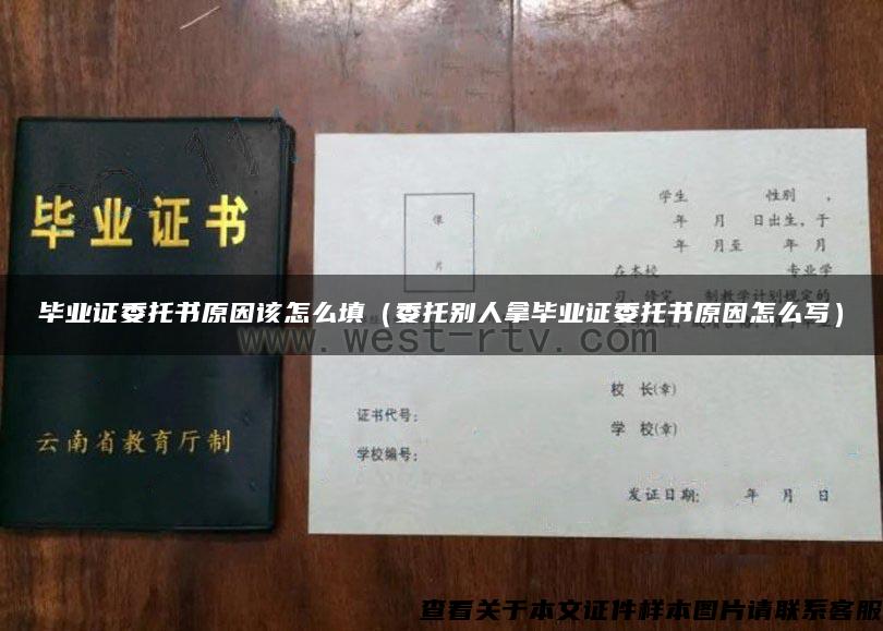 毕业证委托书原因该怎么填（委托别人拿毕业证委托书原因怎么写）