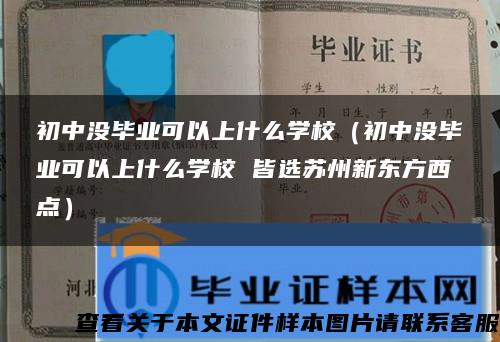 初中没毕业可以上什么学校（初中没毕业可以上什么学校 皆选苏州新东方西点）