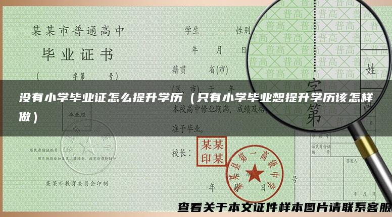 没有小学毕业证怎么提升学历（只有小学毕业想提升学历该怎样做）