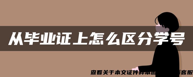 从毕业证上怎么区分学号