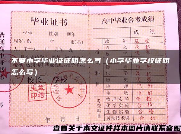 不要小学毕业证证明怎么写（小学毕业学校证明怎么写）