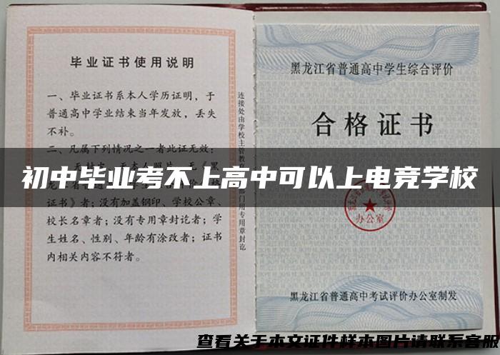 初中毕业考不上高中可以上电竞学校