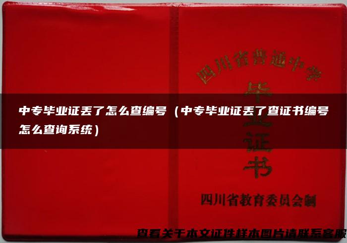 中专毕业证丢了怎么查编号（中专毕业证丢了查证书编号怎么查询系统）