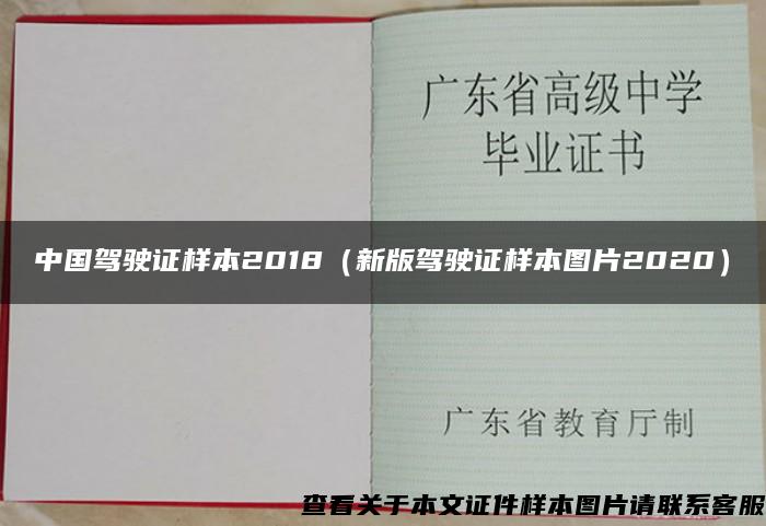 中国驾驶证样本2018（新版驾驶证样本图片2020）