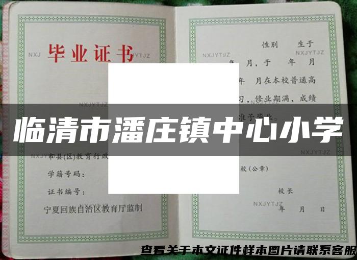 临清市潘庄镇中心小学