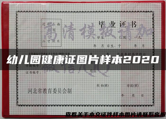 幼儿园健康证图片样本2020