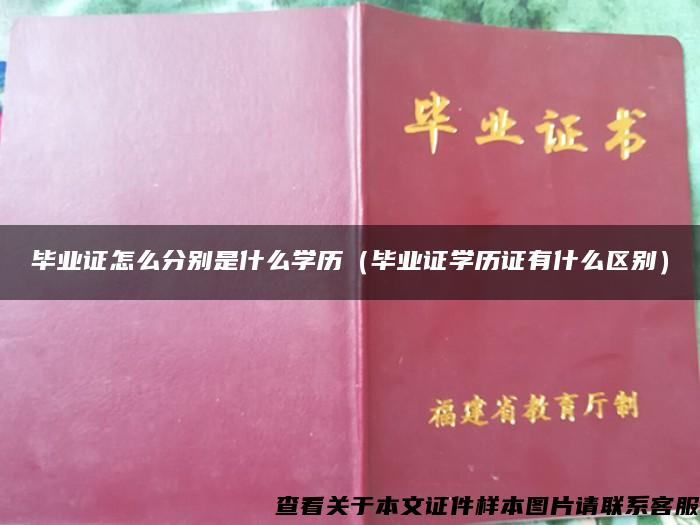 毕业证怎么分别是什么学历（毕业证学历证有什么区别）