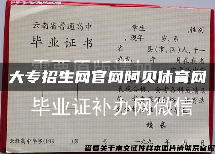 大专招生网官网阿贝休育网