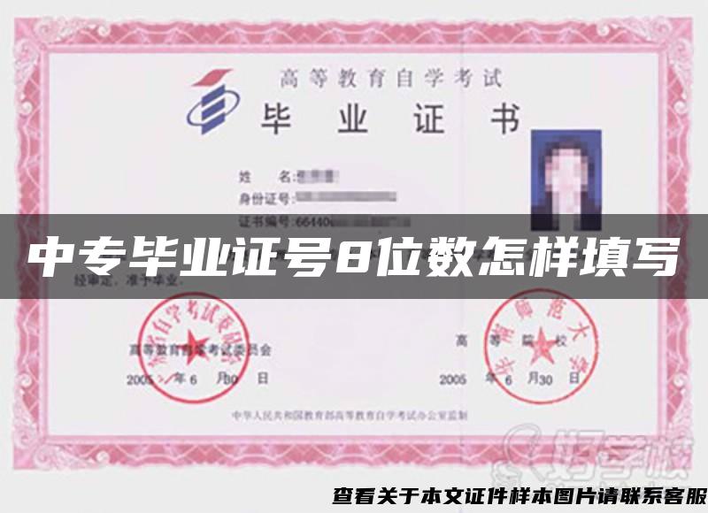 中专毕业证号8位数怎样填写