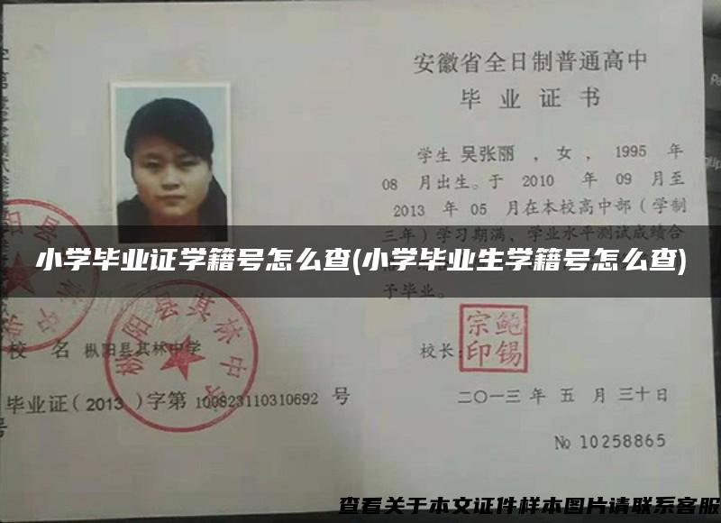 小学毕业证学籍号怎么查(小学毕业生学籍号怎么查)