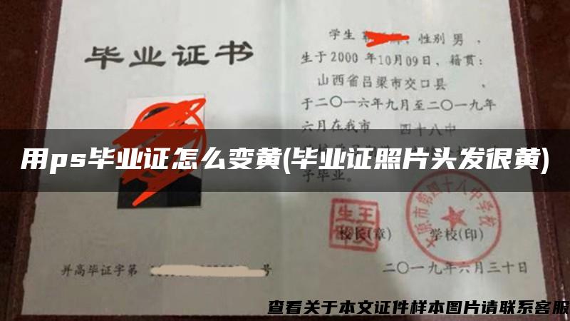 用ps毕业证怎么变黄(毕业证照片头发很黄)