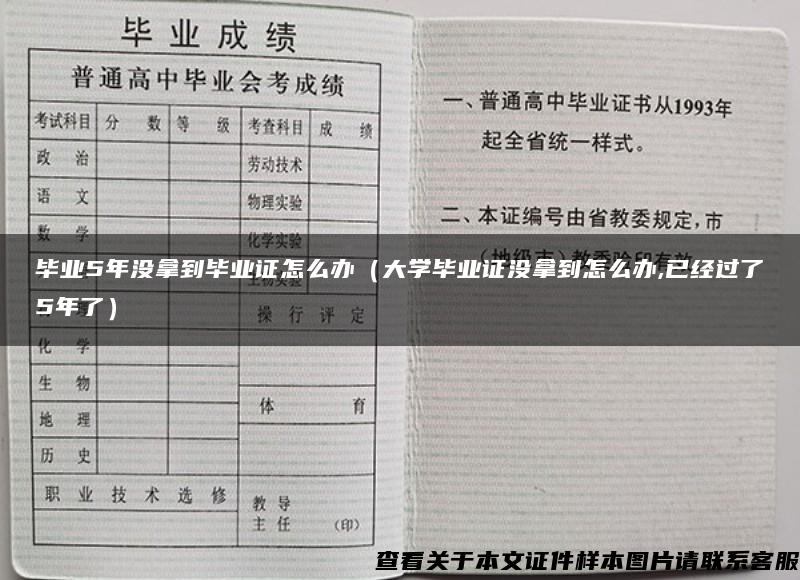 毕业5年没拿到毕业证怎么办（大学毕业证没拿到怎么办,已经过了5年了）