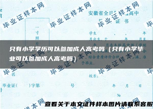 只有小学学历可以参加成人高考吗（只有小学毕业可以参加成人高考吗）