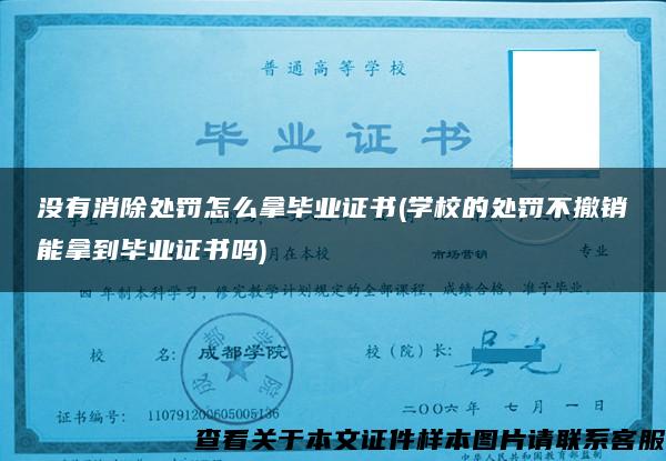 没有消除处罚怎么拿毕业证书(学校的处罚不撤销能拿到毕业证书吗)