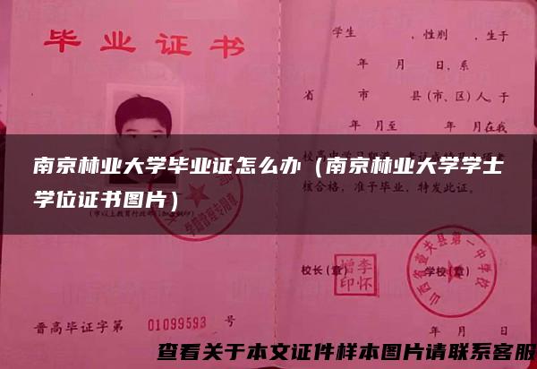 南京林业大学毕业证怎么办（南京林业大学学士学位证书图片）