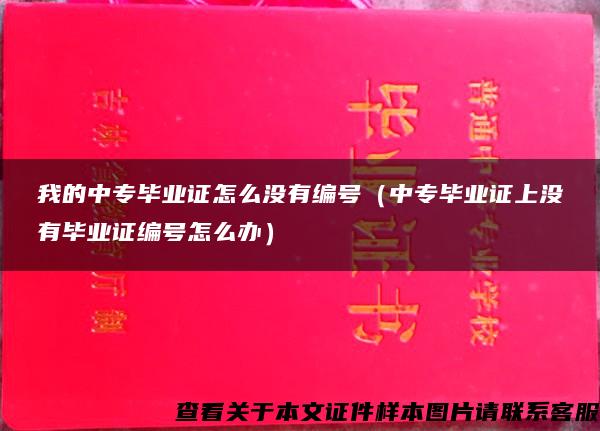 我的中专毕业证怎么没有编号（中专毕业证上没有毕业证编号怎么办）