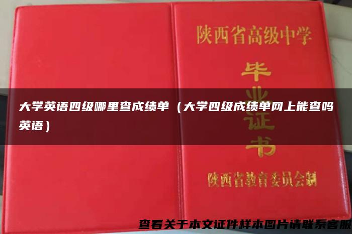 大学英语四级哪里查成绩单（大学四级成绩单网上能查吗英语）