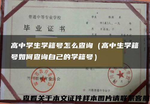 高中学生学籍号怎么查询（高中生学籍号如何查询自己的学籍号）