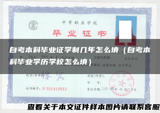 自考本科毕业证学制几年怎么填（自考本科毕业学历学校怎么填）