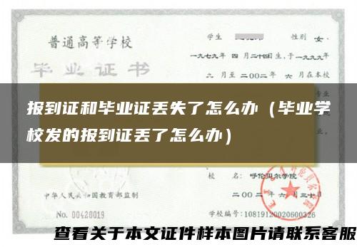 报到证和毕业证丢失了怎么办（毕业学校发的报到证丢了怎么办）