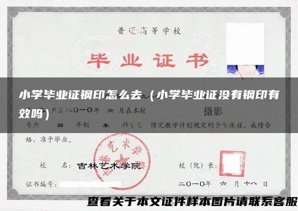 小学毕业证钢印怎么去（小学毕业证没有钢印有效吗）