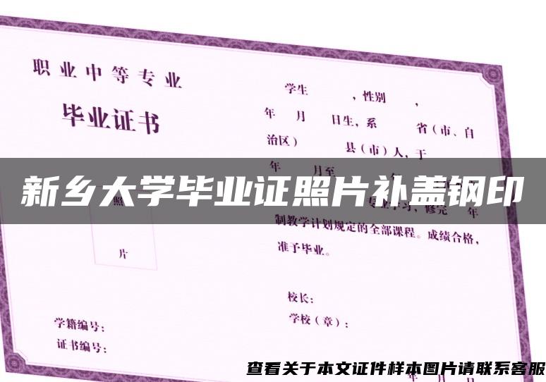 新乡大学毕业证照片补盖钢印