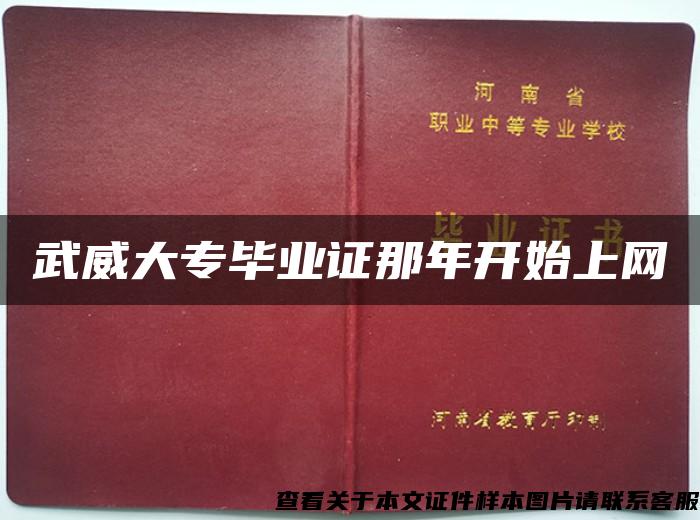 武威大专毕业证那年开始上网