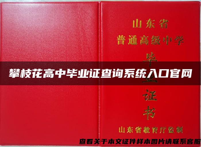 攀枝花高中毕业证查询系统入口官网