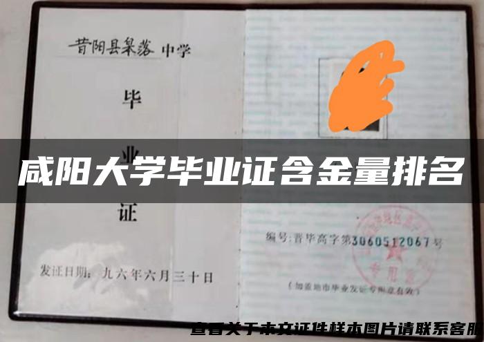 咸阳大学毕业证含金量排名