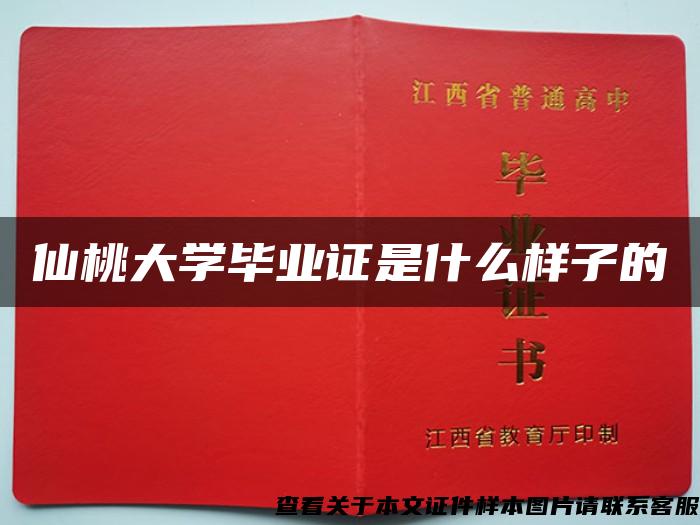 仙桃大学毕业证是什么样子的