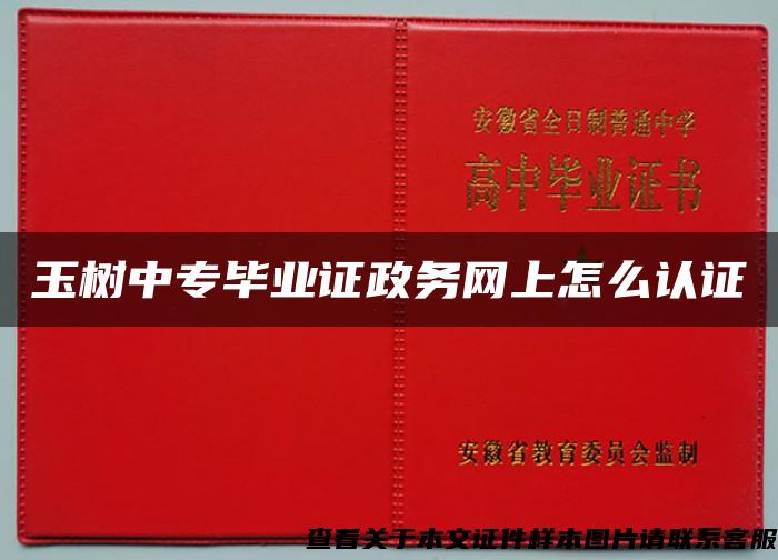 玉树中专毕业证政务网上怎么认证